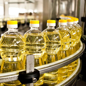 Bottles in production line of manufacturing plant
