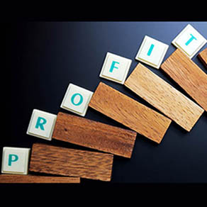 The word "profit" spelled by letters with wood block on black background